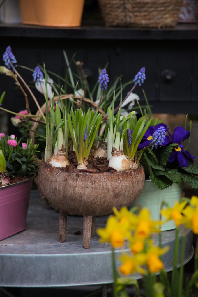 Un parfum de souvenir et de tendresse photo 3